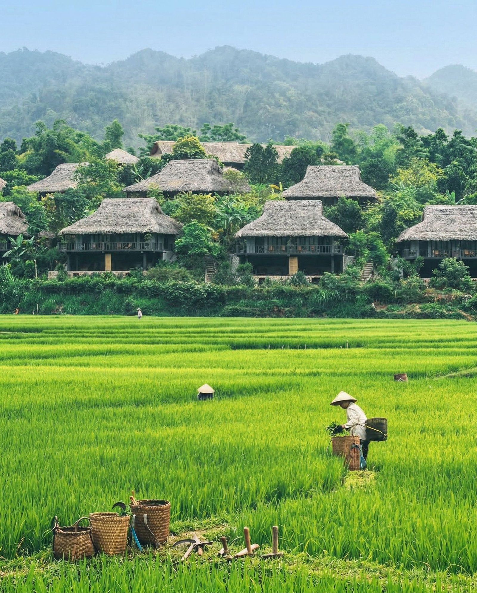 12-Day Northern Vietnam Cycling Tour: Sapa, Mu Cang Chai & Pu Luong Adventure